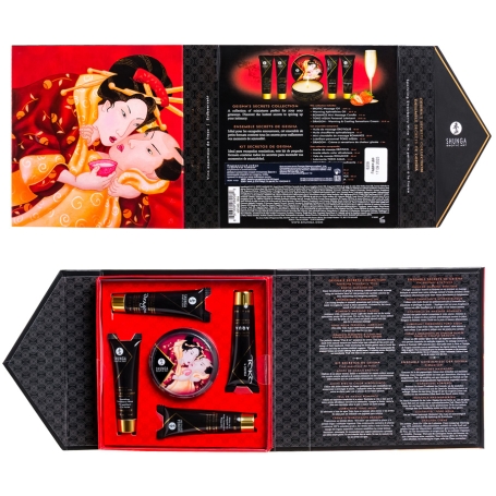 Набор Shunga Geisha's Secret
