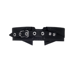 Ошейник-воротник Pecado с поводком